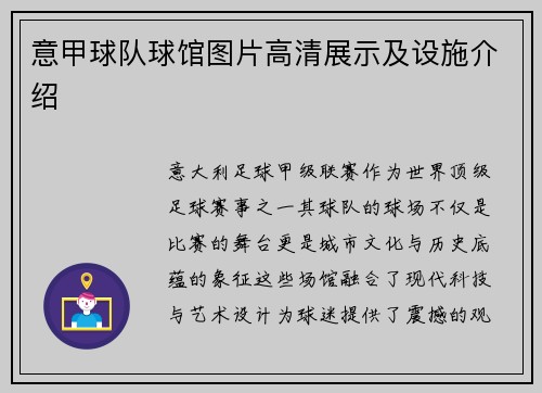 意甲球队球馆图片高清展示及设施介绍